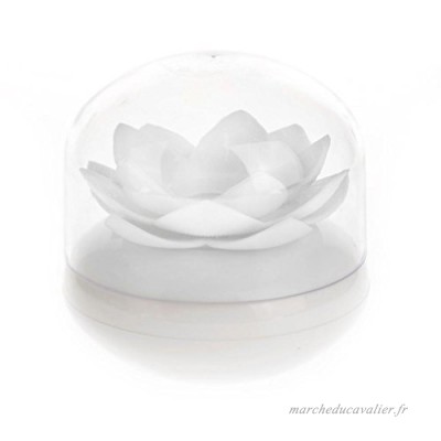 Lotus Boîte Décoratif à Stockage de Cure-dents Tige Coton en Plastique Accessoire Salle de Bain Séjour - Blanc - B01M27GV4F
