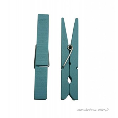 Amanteao Wood Craft Pinces à linge Pinces à linge avec Spring 7 4 cm Couleur Rose Bleu Lot de 30 - B01N5XGZ5X