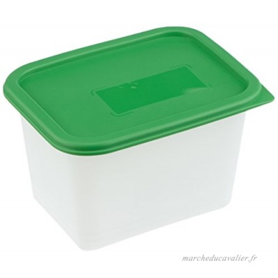 Rotho Boîte de congélation Domino – Boîte de Conservation Anti-odeurs  Plastique  Blanc/Vert  4 x 1.0 l - B01MDV0S1L